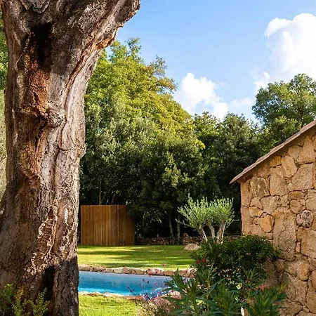 Domaine De Gialla Bergerie I Pini, 8 Pers, Piscine Chauffee, 10 Mn