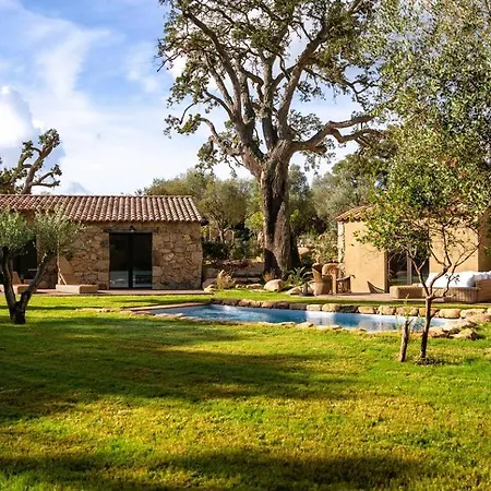 Domaine De Gialla Bergerie I Pini, 8 Pers, Piscine Chauffee, 10 Mn *