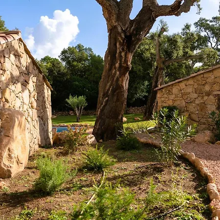 Domaine De Gialla Bergerie I Pini, 8 Pers, Piscine Chauffee, 10 Mn * Arraggio